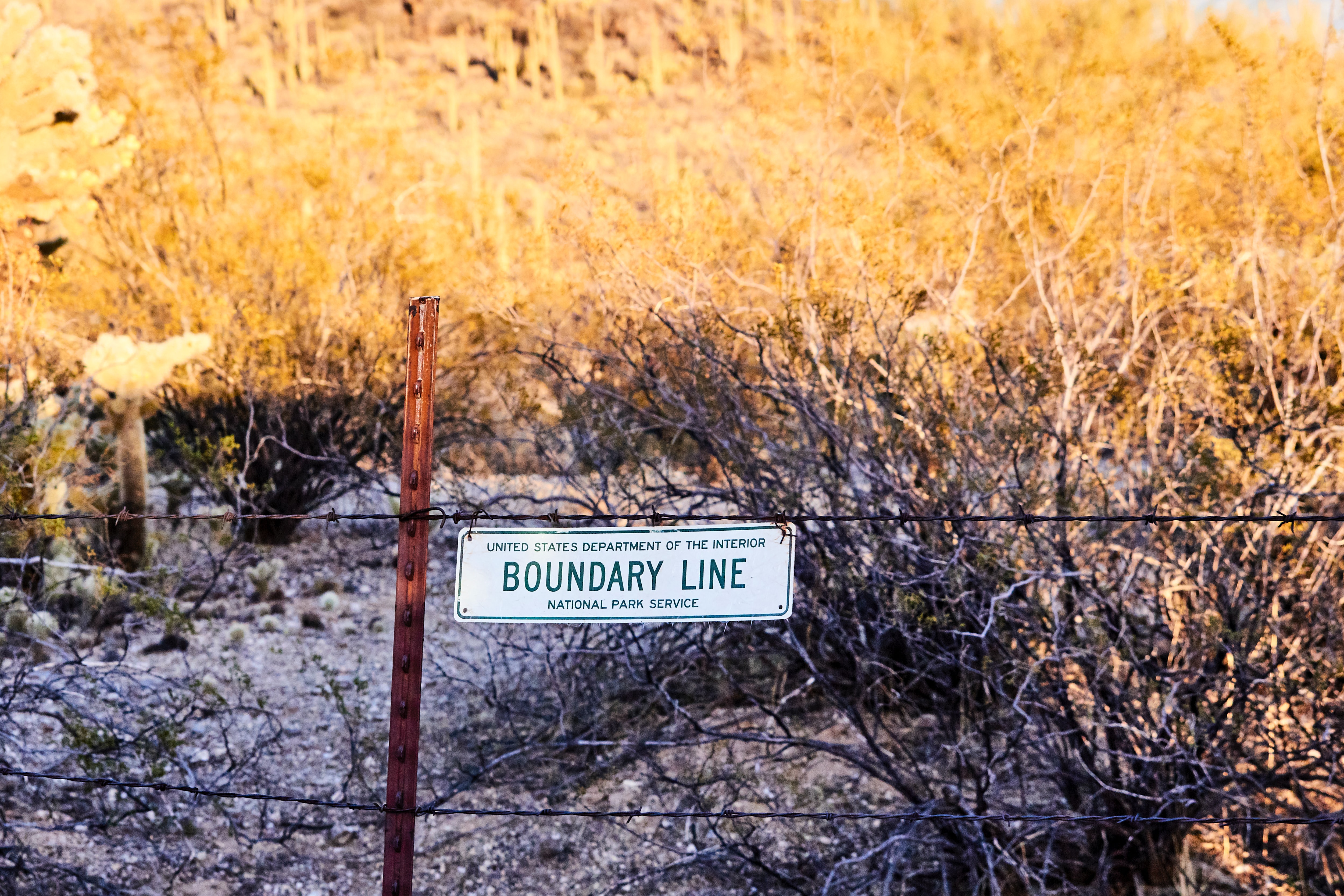 Photo by Erin Larson on Unsplash