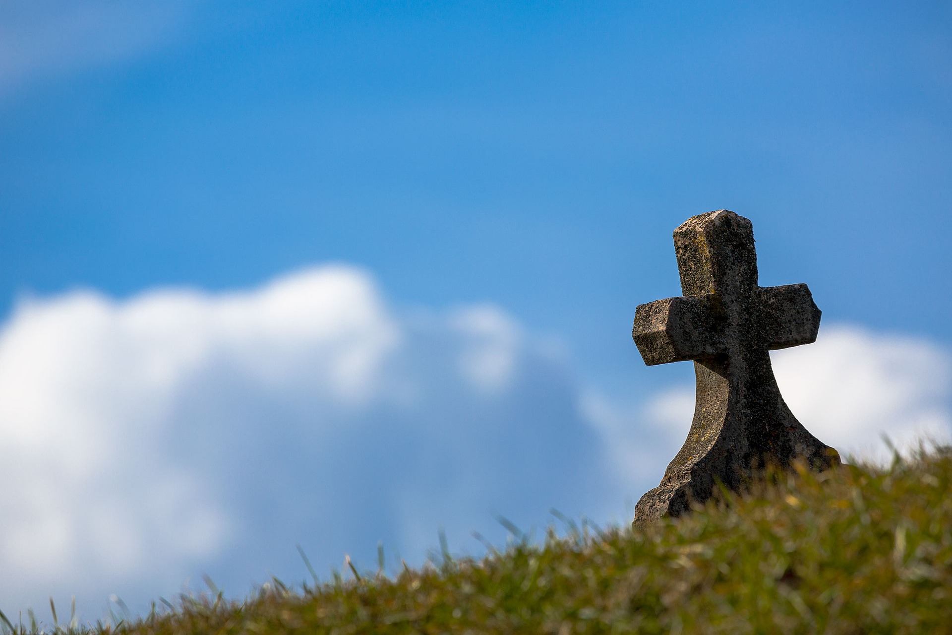 Image by Gábor Bejó from Pixabay