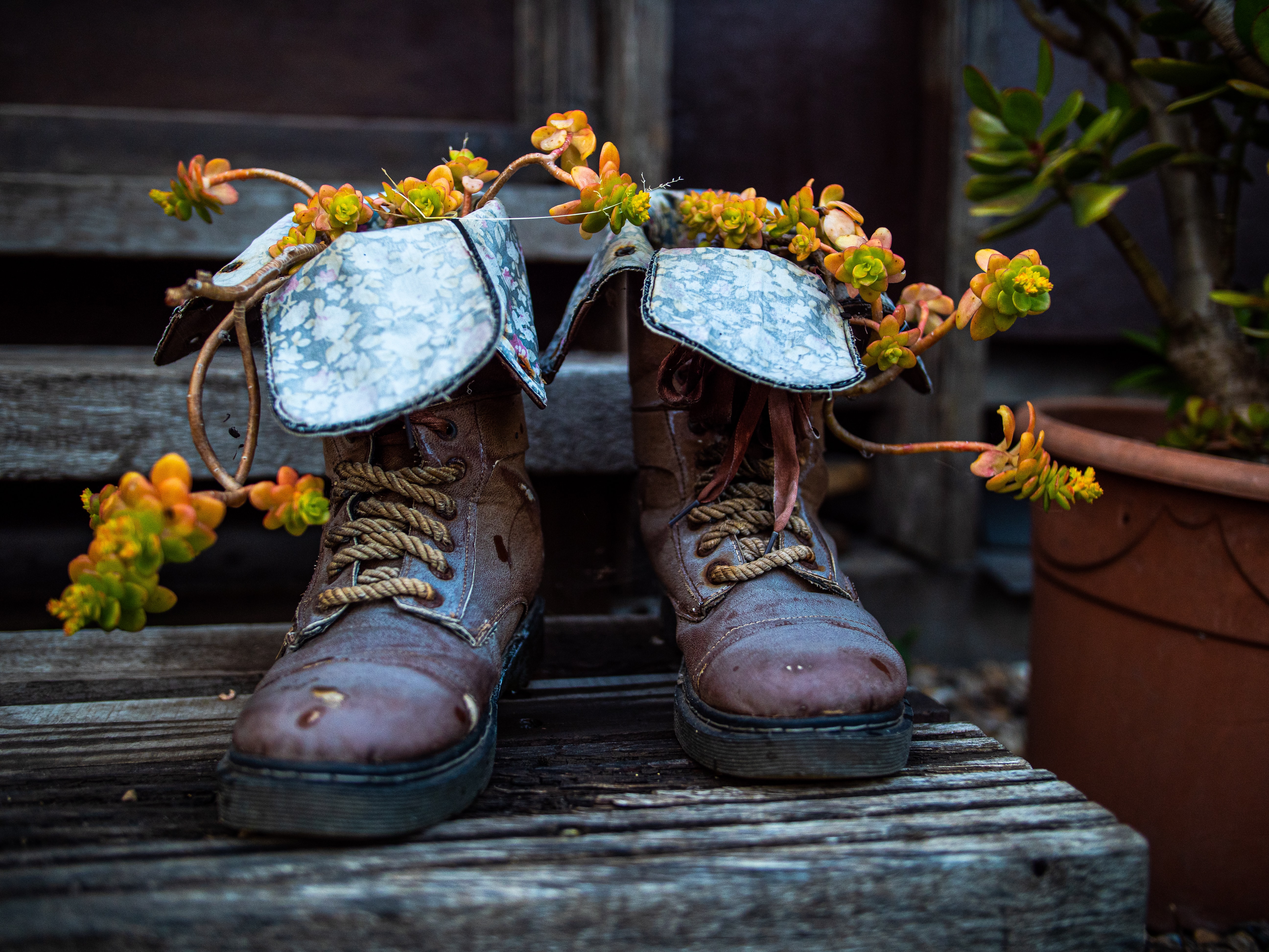 Photo by Minh Tran on Unsplash